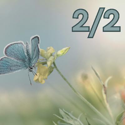 5 – Coupable d’avoir fui (Nataliia) | Partie 2/2