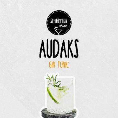Gin Tonic | Audaks Gin Tonic | Audaks