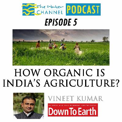 How organic is agriculture in India?