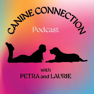 Episode 11: Getting the Most Out of Matches