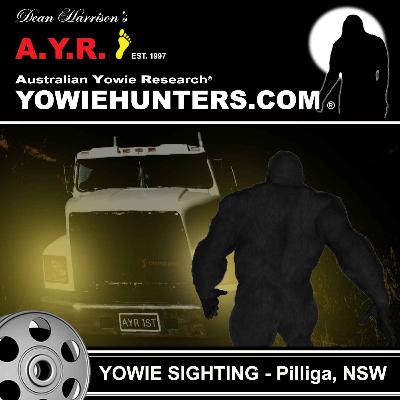 Yowie Sighting in the Pilliga, New South Wales - 1994