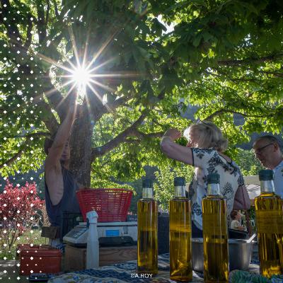 Sons d'ici - Episode 13 - Créer du lien pour bien se nourrir