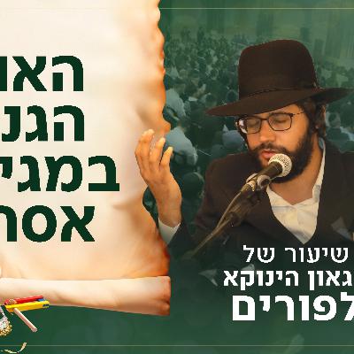 האור הגנוז במגילת אסתר | הגאון הינוקא בשיעור הכנה לפורים האור הגנוז במגילת אסתר | הגאון הינוקא בשיעור הכנה לפורים