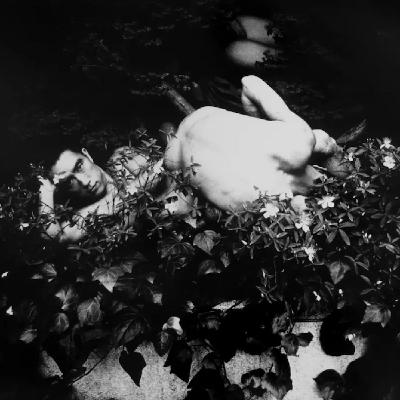 Fuego en Cairo # 40 : La Primavera viene con una Fresa en la Boca