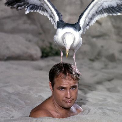 Lodgecast Spring Break 2025