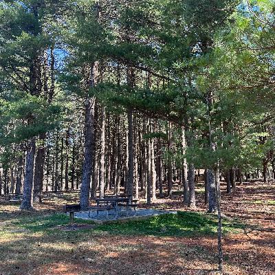 S1 EP36 江浙沪独女，也有原生家庭之痛吗？(下）