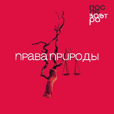 Права природы: существуют ли они и кто их защищает?