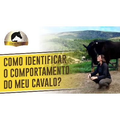 COMO IDENTIFICAR O COMPORTAMENTO DO SEU CAVALO? | Haras Stone #010