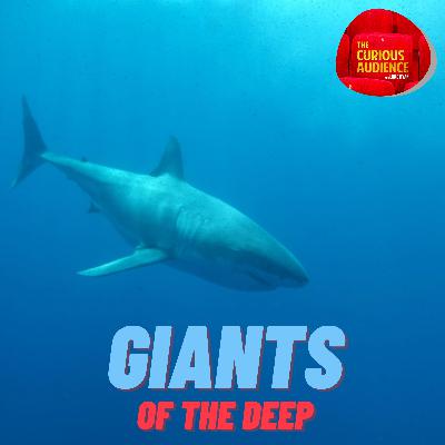 2x05 - Giants of the Deep 2x05 - Giants of the Deep