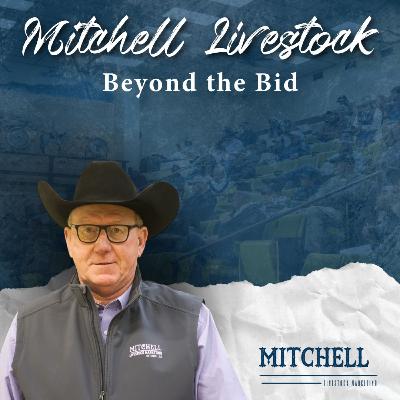 Early Consignments for the Special Bred Cow and Heifer Sale (January 10, 2026)