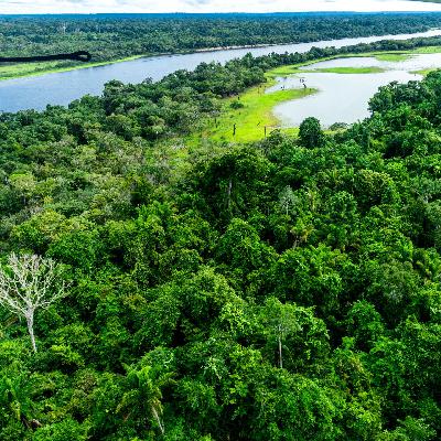 Vor der Klimakonferenz COP30 in Belém: Gastgeber Brasilien zwischen Waldschutz und Ölförderung Vor der Klimakonferenz COP30 in Belém: Gastgeber Brasilien zwischen Waldschutz und Ölförderung