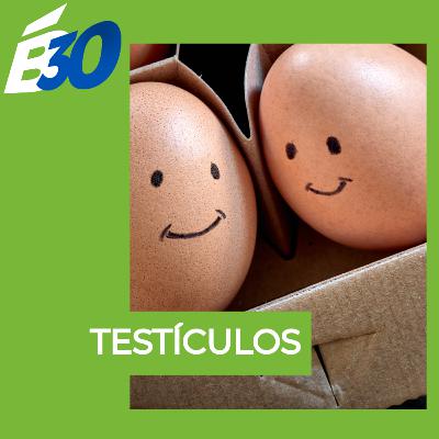 Testículos