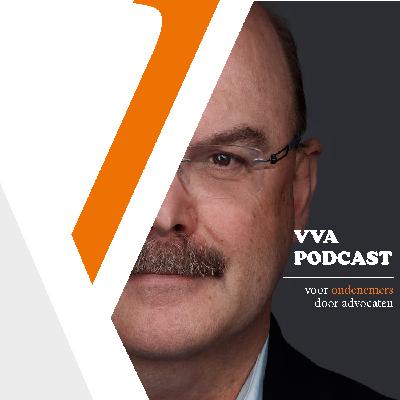 Procederen bij de Ondernemingskamer met Kees van Dijk en Aart Jan Stokkers