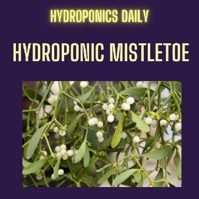 Growing Mistletoe Without Soil: The Strange 1991 Hydroculture Patent
