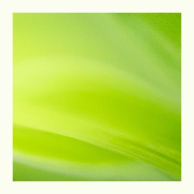 10 Hours Of Green Noise Windy Nighttime Soundscape 10 Hours Of Green Noise Windy Nighttime Soundscape