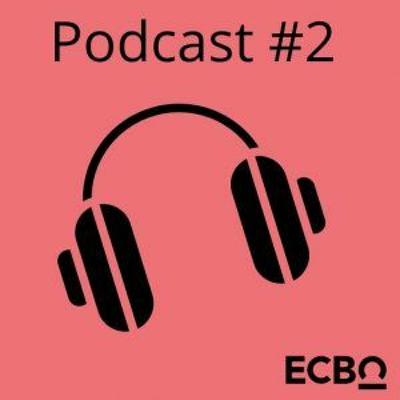 Praktijk Ontmoet Onderzoek afl2. Digitaal onderwijs en e-bekwaamheid