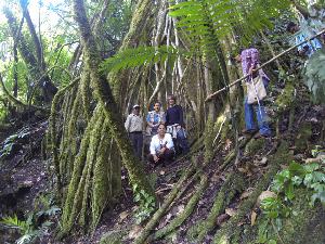 Episodio 48: Ronald Sanabria (Parte 2) – Rainforest Alliance y la certificación Episodio 48: Ronald Sanabria (Parte 2) – Rainforest Alliance y la certificación