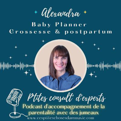 Ep. 14 - Alexandra, Baby planner grossesse et postpartum