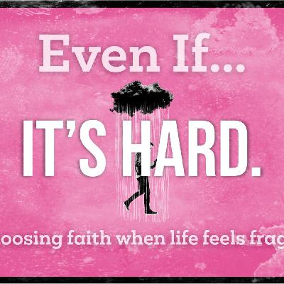 The Joy That Holds You Steady The Joy That Holds You Steady