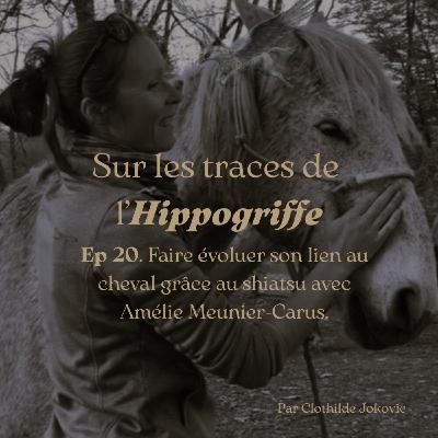 Episode 20. Faire évoluer son lien au cheval grâce au shiatsu avec Amélie Meunier-Carus Episode 20. Faire évoluer son lien au cheval grâce au shiatsu avec Amélie Meunier-Carus