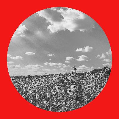 64: A quick summer update