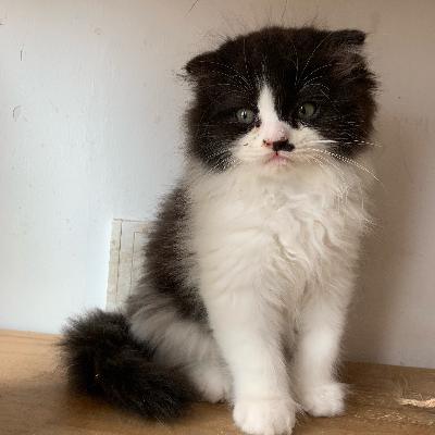 下雨的时候，学会遗忘