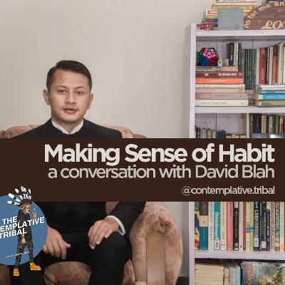Making Sense of Habit | David Blah