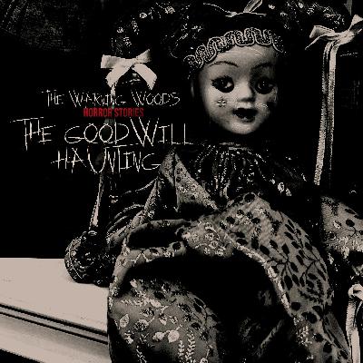 The Goodwill Haunting