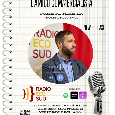 L'amico commercialista 15 puntata