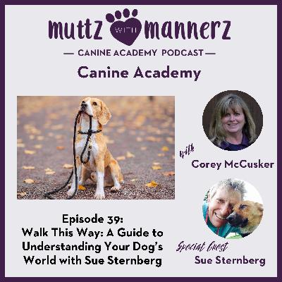 Episode 39: Walk This Way: A Guide to Understanding Your Dog’s World with Sue Sternberg