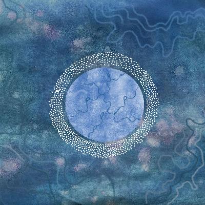 Living Echoes Living Echoes