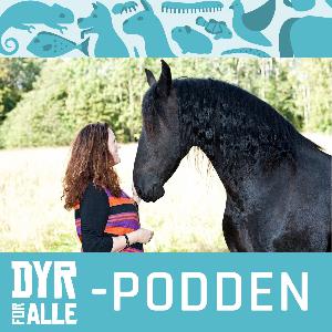 Dyrehvisker: - Alle kan snakke med dyr, det ligger latent i oss.