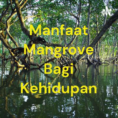 Mangrove