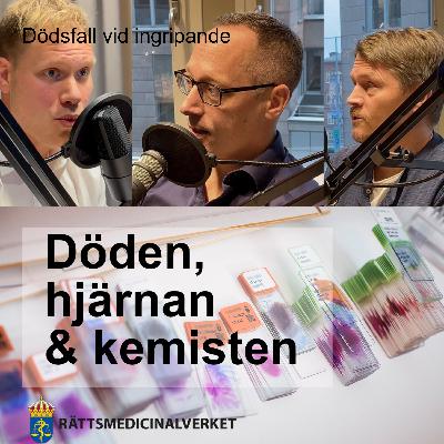 Dödsfall vid ingripande – en vetenskaplig studie Dödsfall vid ingripande – en vetenskaplig studie