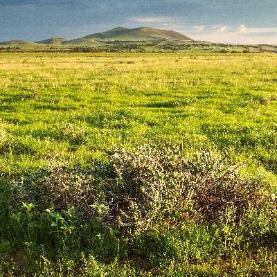 Range and Soils Management in Northern Arizona with Stephen Cassady Range and Soils Management in Northern Arizona with Stephen Cassady