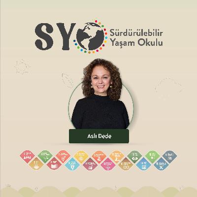 096 - Sürdürülebilir Finansal Gelecekte İklim ve Sosyal Risk Yönetim