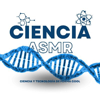 Imagen por Resonancia Magnética (IRM)