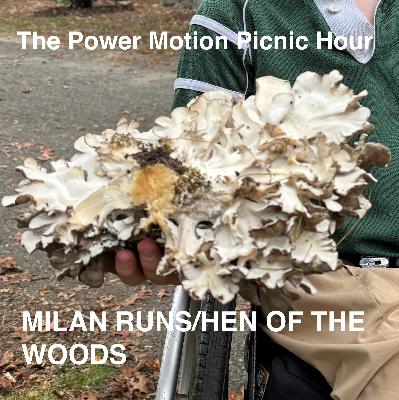 Ep. 5.12: Milan Runs/Hen of the Woods Ep. 5.12: Milan Runs/Hen of the Woods
