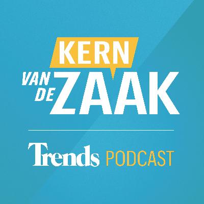 Kern van de Zaak - episode 6 met The Startup Prof