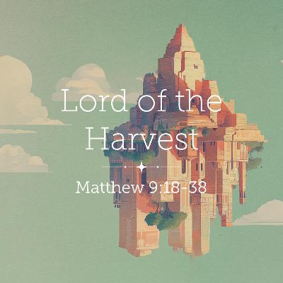 Matthew 9:18-38 – Lord of the Harvest Matthew 9:18-38 – Lord of the Harvest