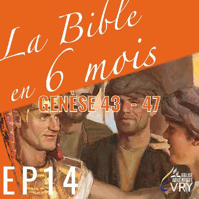 LA BIBLE EN 6 MOIS épisode 14 : Genèse 43 - 47 LA BIBLE EN 6 MOIS épisode 14 : Genèse 43 - 47