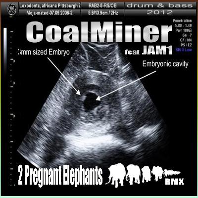 CoalMiner - 2 Pregnant Elephants RMX VIP CoalMiner - 2 Pregnant Elephants RMX VIP