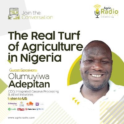 Tough Talk : The Real Turf of Agriculture in Nigeria with Mr Olumuyiwa Adepitan