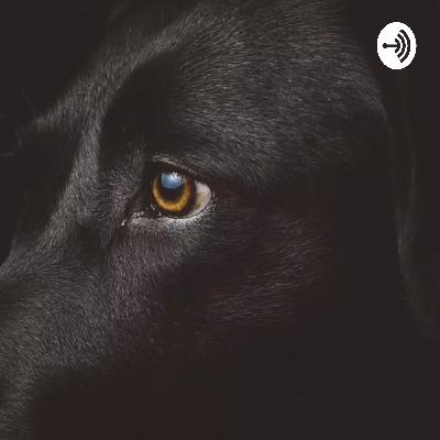 Perbandingan Indonesia dengan tetangga