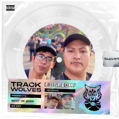 Luigi.edm7 - TrackWolves Best Of 2023 DJ Mix