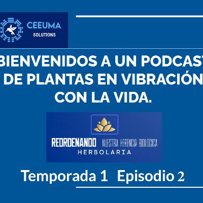 Herbolaria China, Episodio 2