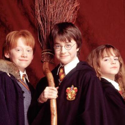 ¿Quién es Harry?