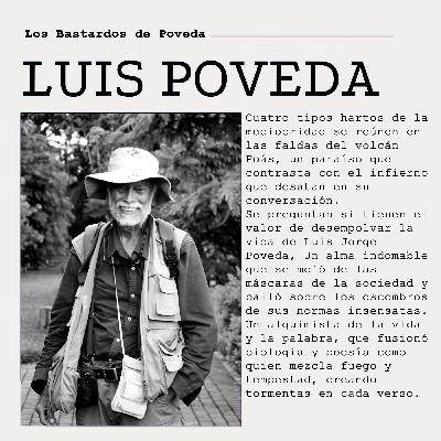 DOCUMENTAL: LOS BASTARDOS DE POVEDA. [2024]