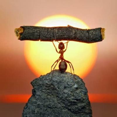 O MELHOR PARA DEUS | Pr. Thiago Rodrigues