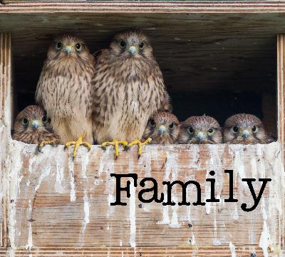 Family